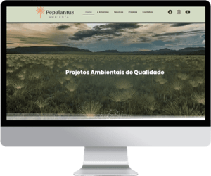 Pepalantus Ambiental