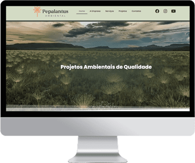 Pepalantus Ambiental