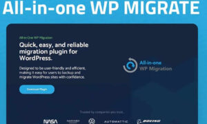 All In One Migration Extensiones Pro